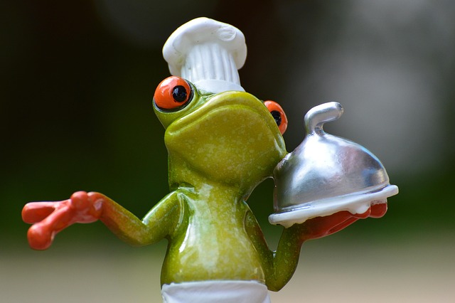 a cook preparing a meal in a kitchen